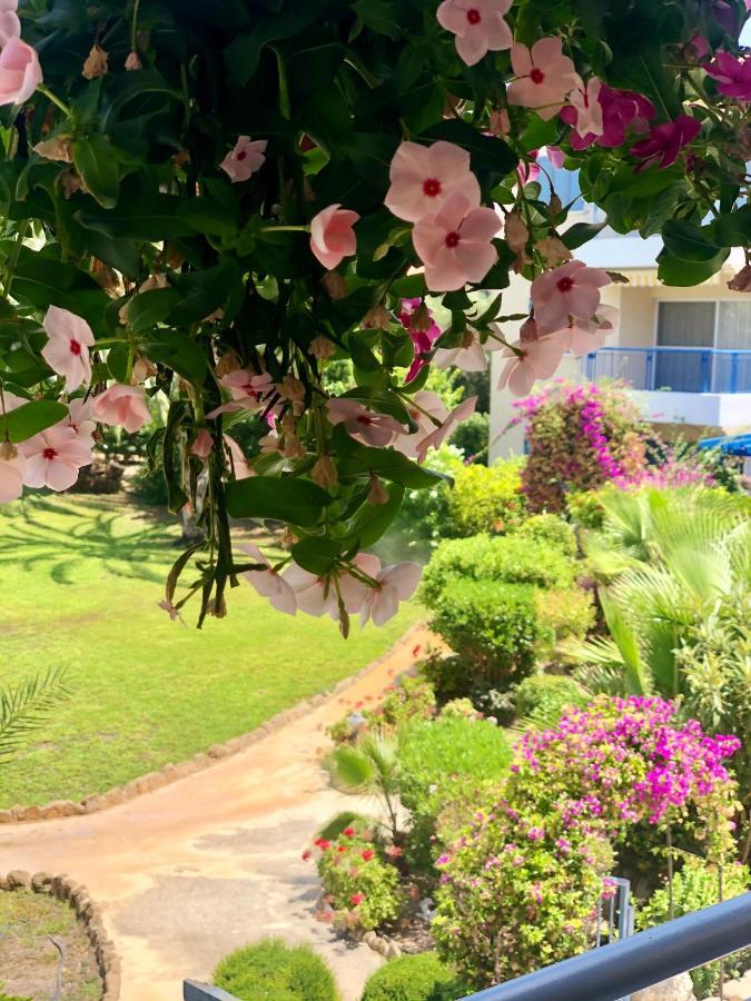 Paradise Gardens Paphos Exterior foto